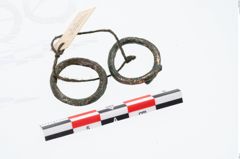 Foto von Bronzering (NHMW-PRAE-026483)